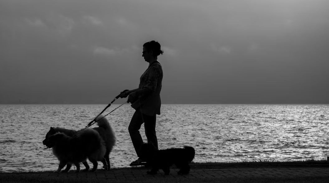 Pet-sitting